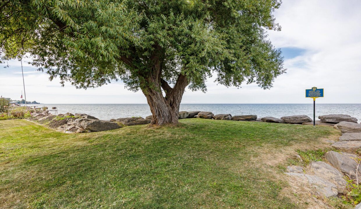 50-web-or-mls-6I0A7992