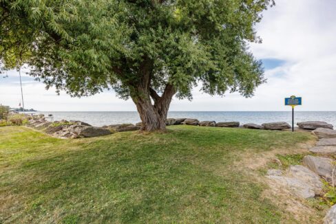 50-web-or-mls-6I0A7992